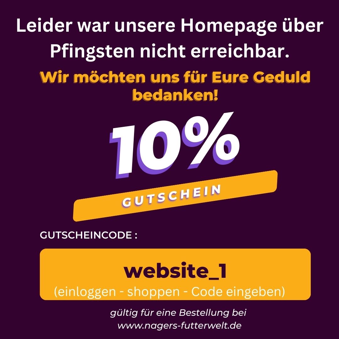 website 1